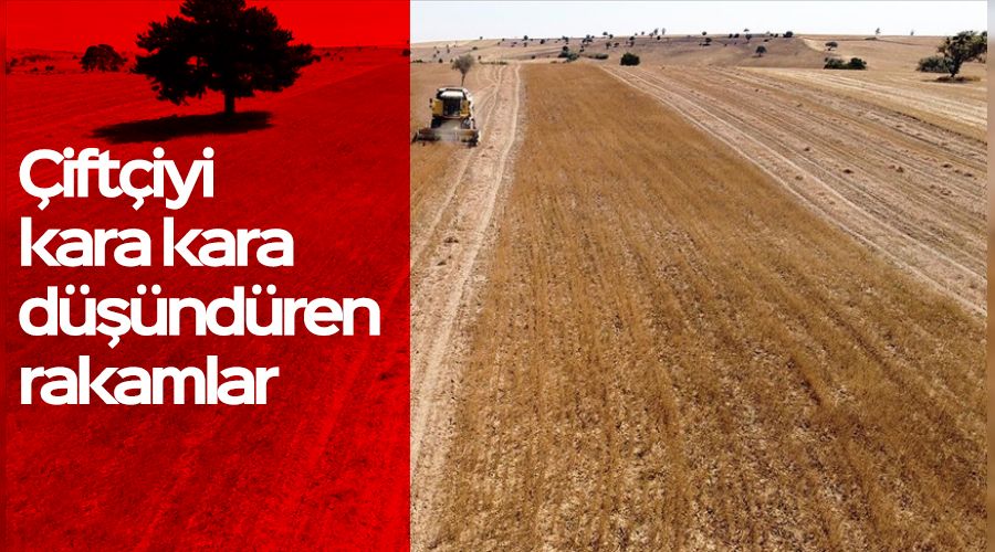 Çiftçiyi kara kara düşündüren rakamlar
