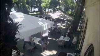 Çınardan kopan dal can aldı