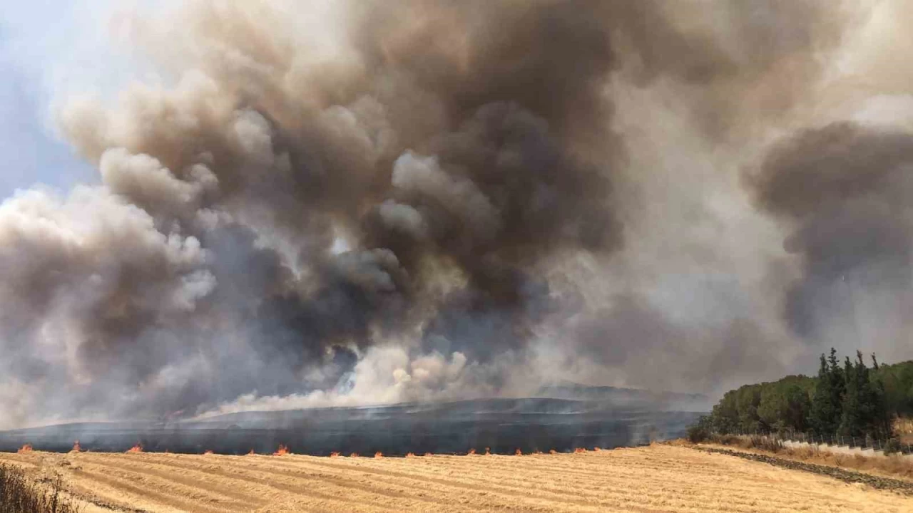 �orlu'da bin 300 d�n�m an�z alev alev yand�