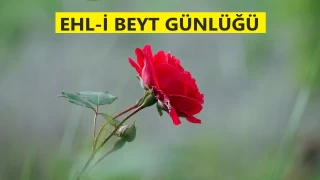 ‘Dinin hedefi, hadleri ikame etmektir’