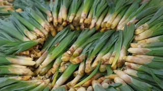 Do�al antibiyotik, tezgahlarda yerini ald�