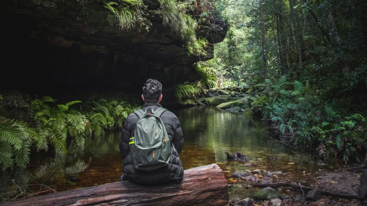 Do�an�n �ifal� dokunu�u: Shinrin-yoku ve sa�l��a faydalar�