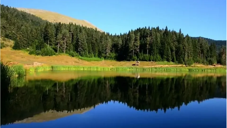 Doğanın yaşayan kütüphanesi: Karabük Yenice Ormanları