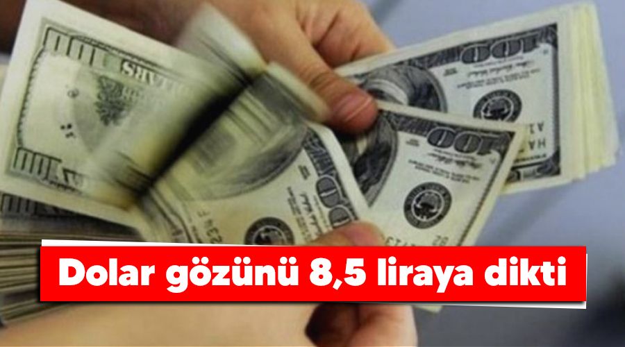 Dolar gözünü 8,5 liraya dikti