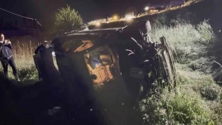 Domuza çarpan otomobil şarampole uçtu: 5 yaralı