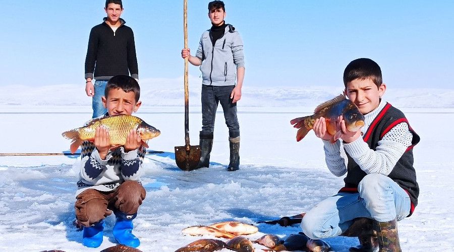 Donan Nazik Gl'nde Eskimo usul balk av
