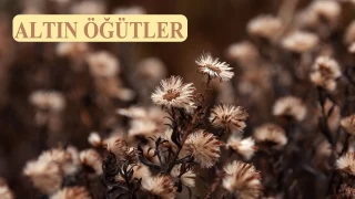 ‘Dünya sevgisi, her günahın başıdır’