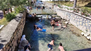 Dnyaca nl 'doktor balklar' 5 aydr ifa datamyor