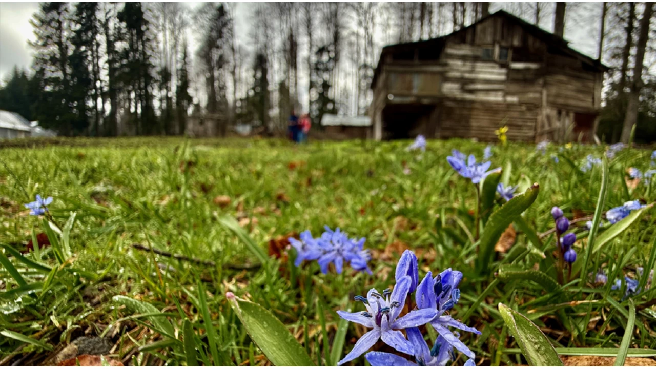 D�zce'deki yaylalar, k���n ve ilkbahar�n izlerini ta��yor