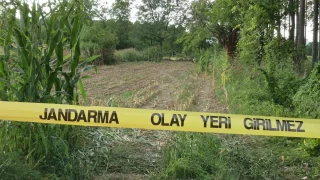 Dzceli ifti, tarlasnda kafatas ve kemikler buldu