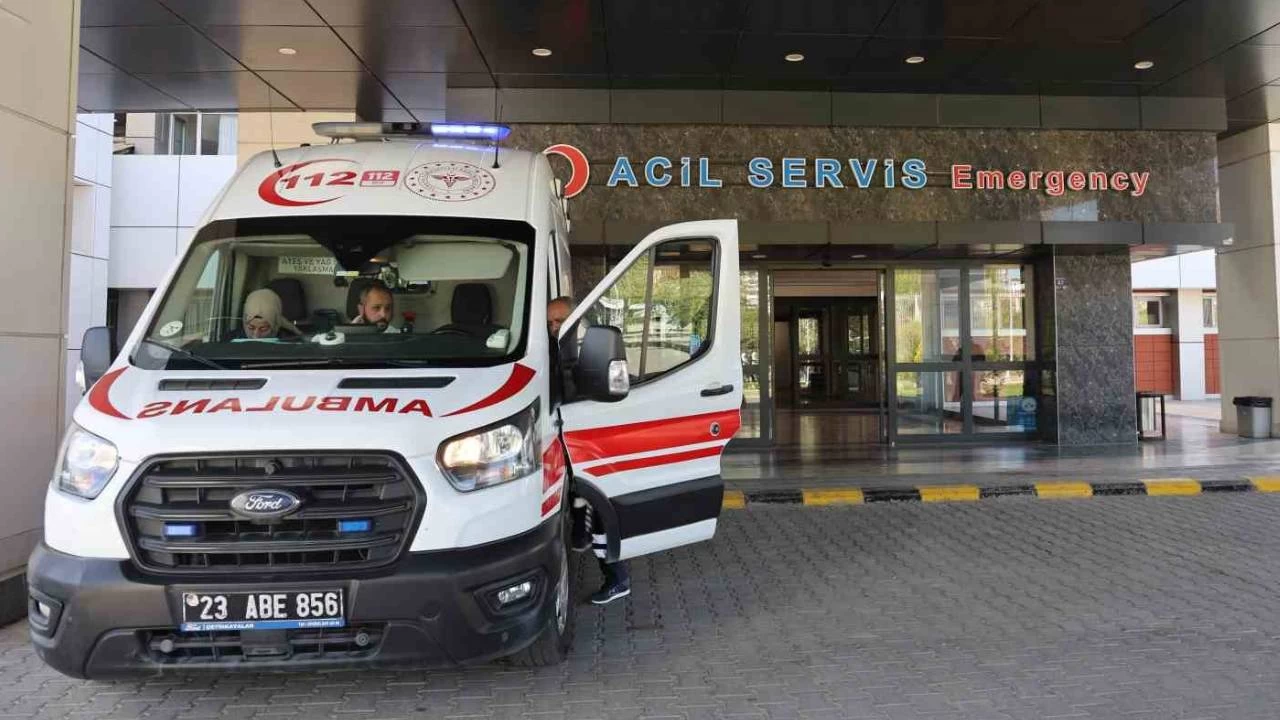 Elaz'da kuzenlerin arazi anlamazl kanl bitti: 1 l