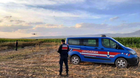 Elazığ'da yasa dışı kenevir ekimine karşı önlem