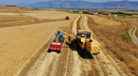 Elaz'da yln ilk arpa hasad gerekletirildi