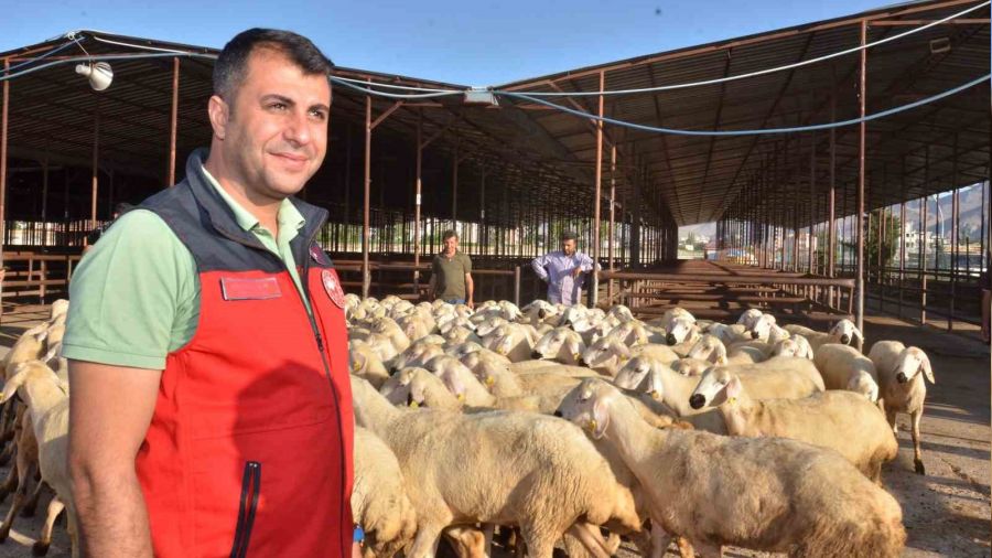 Elbistan'da depremzede �reticilere 754 koyun da��t�ld�