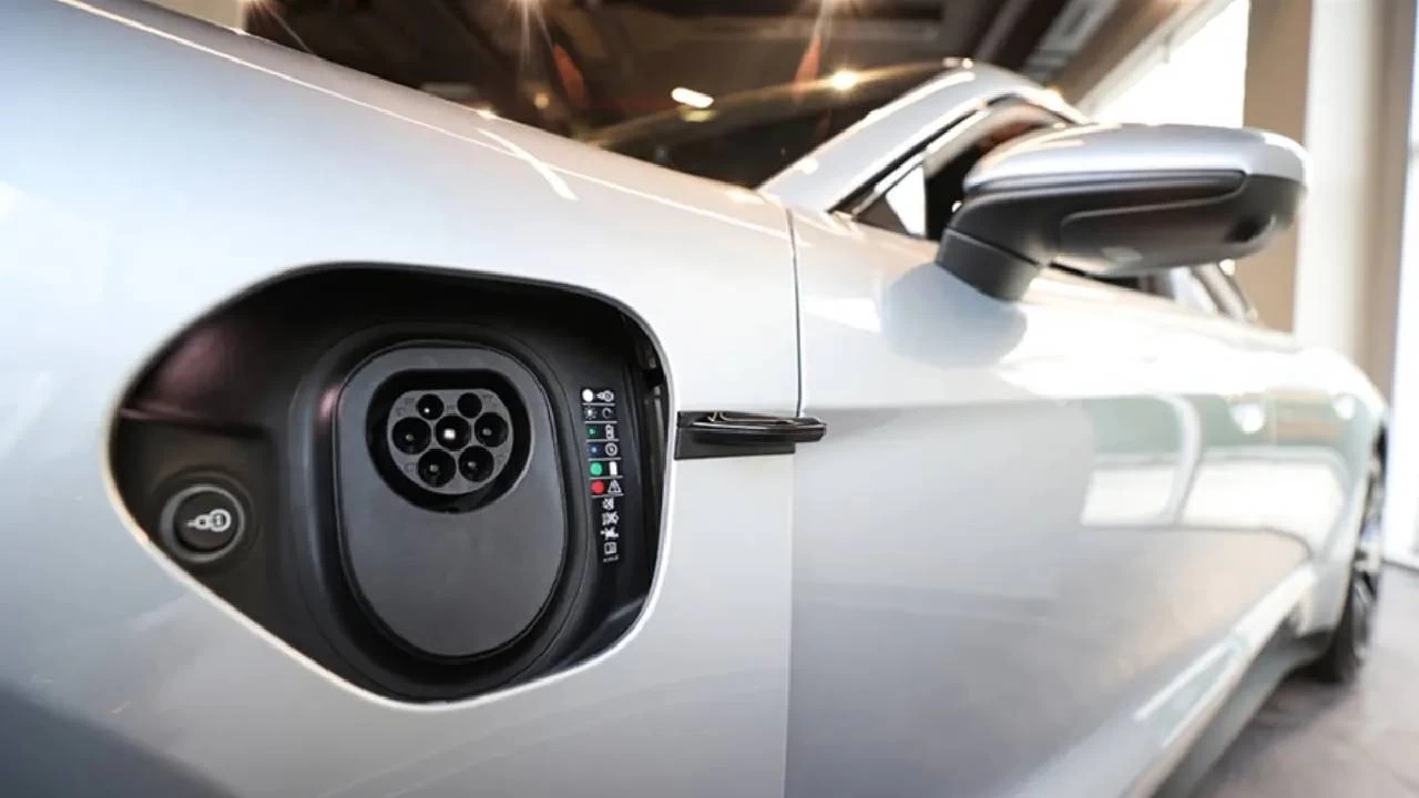 Elektrikli araç sektöründe küresel liderler