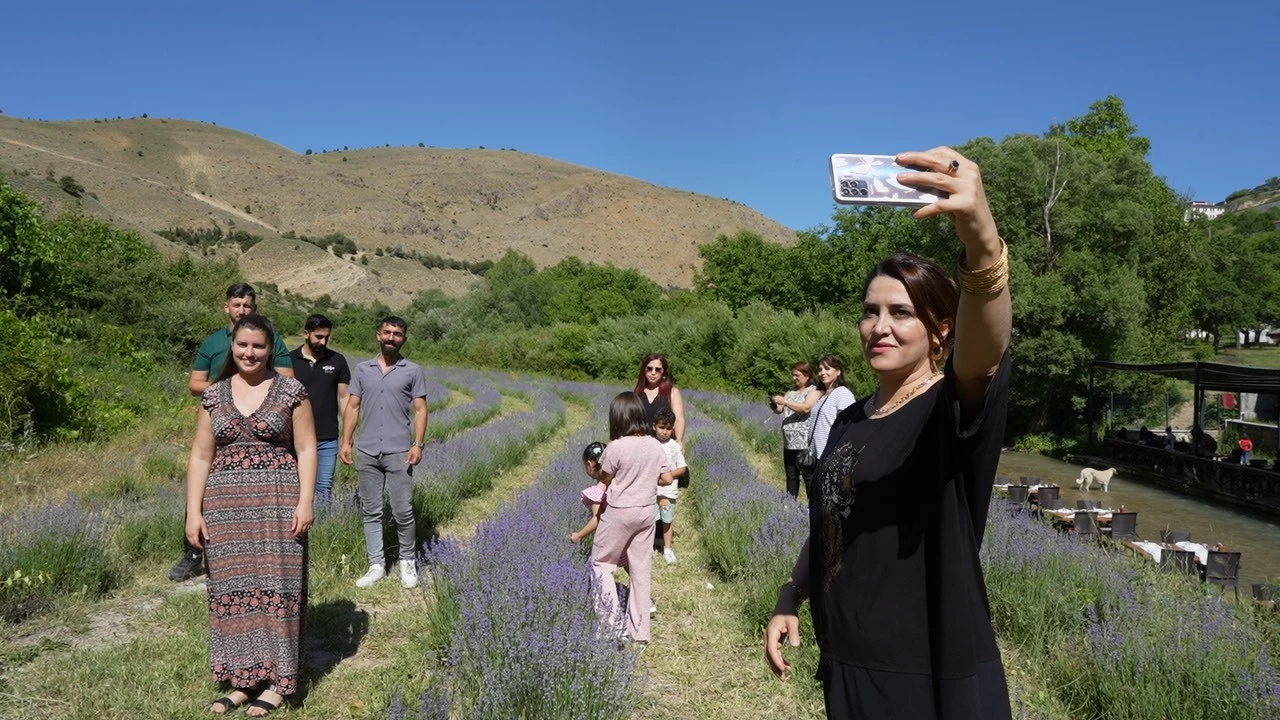 Emekli öğretmenin kurduğu lavanta bahçesi dünyanın dört bir yanından misafirlerini ağırlıyor