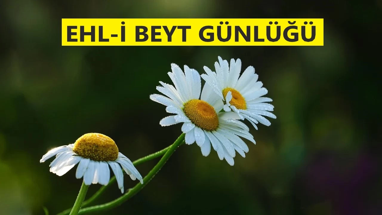 En güçlü insan kimdir?