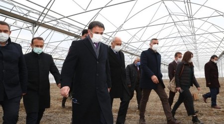 Erbaa, çiçek üretim merkezi olacak