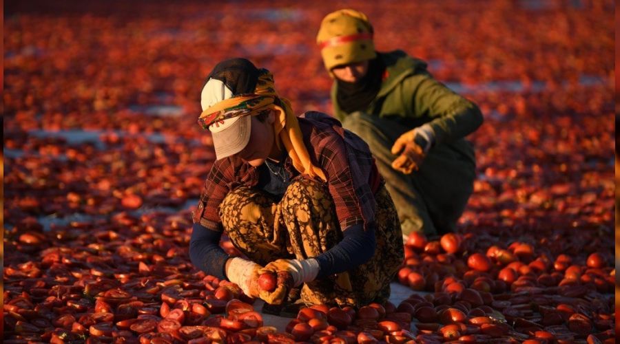 Erciyes'in etekleri k�rm�z�ya boyand�