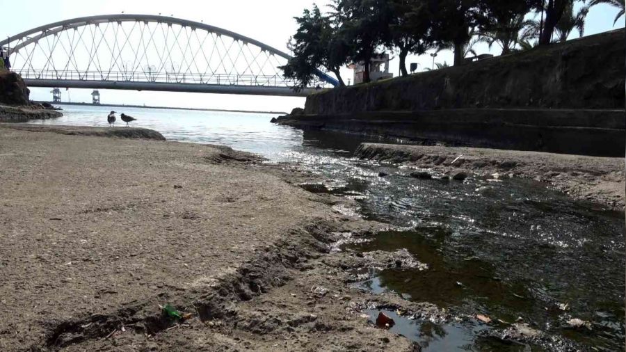 Ere�li il�e merkezini la��m kokusu sard�