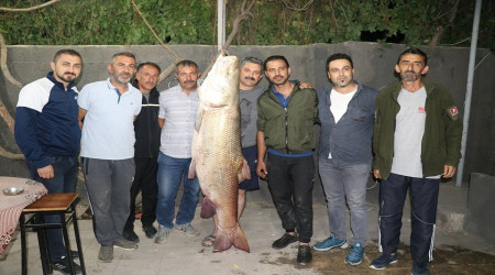 Erzincan'da balıkçıların oltasına yakalanan dev balık şaşırttı