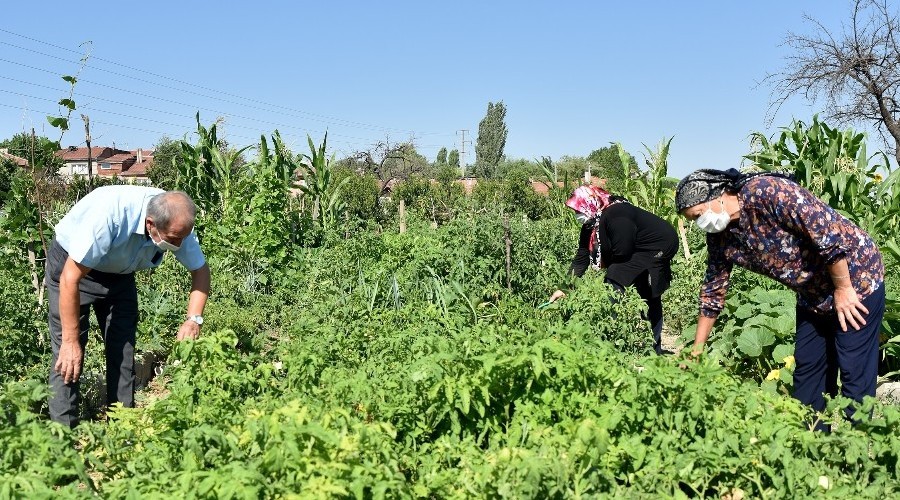 Esentepe Mahalle Bahçesi beğeni topluyor