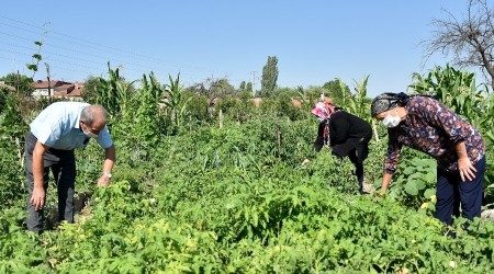 Esentepe Mahalle Bahesi beeni topluyor