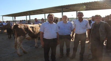 Et üreticilerinden 'ithal et ve hayvan' tepkisi