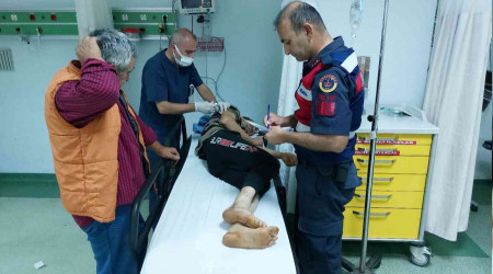 Fındık bahçesinde uçurumdan yuvarlandılar