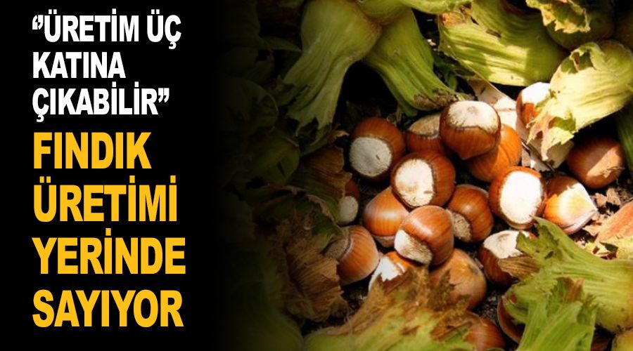 Fındık üretimimiz yerinde sayıyor
