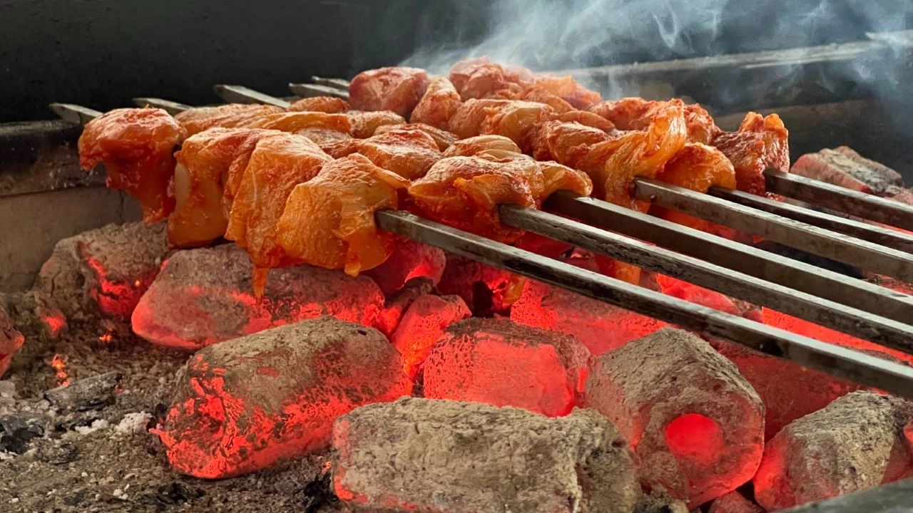 Gıda zehirlenmeleri Türkiye’yi sarsıyor
