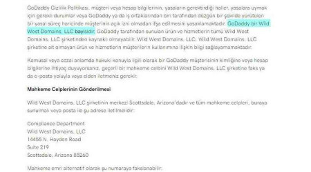 Godaddy'in gasp ettiği internet alan adlarını açık artırmayla satışa çıkardığı iddia edildi
