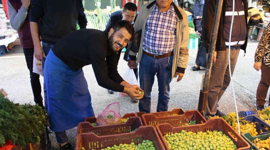 Günde yedi zeytin yiyip alzheimerdan korunun