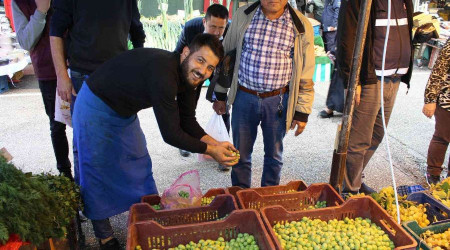 Günde yedi zeytin yiyip alzheimerdan korunun