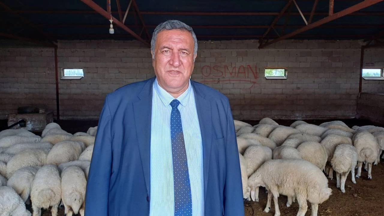 Gürer’den kritik soru: İthal hayvanları yurt dışından kimler topluyor?