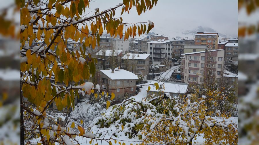 Hakkari'de yollar ulaşıma kapandı