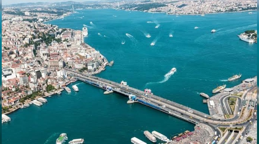 Hali�'te yunus bal�klar� 