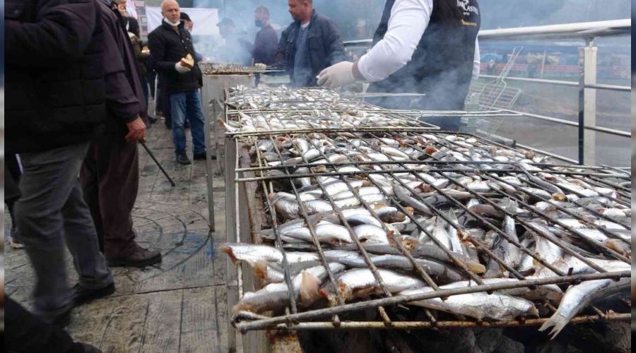 Hamsi festivalinde 5 ton hamsi tüketildi