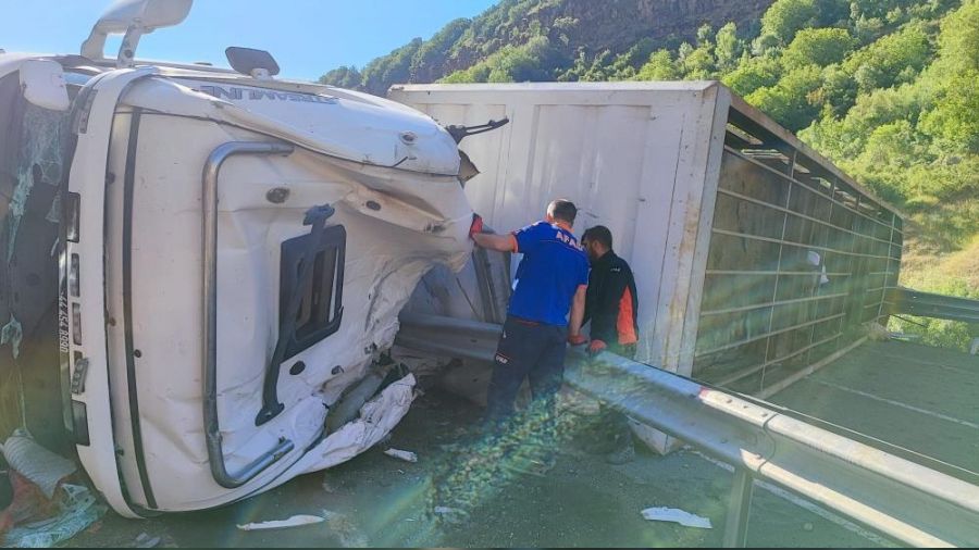 Hayvan y�kl� t�r devrildi: 1 �l�