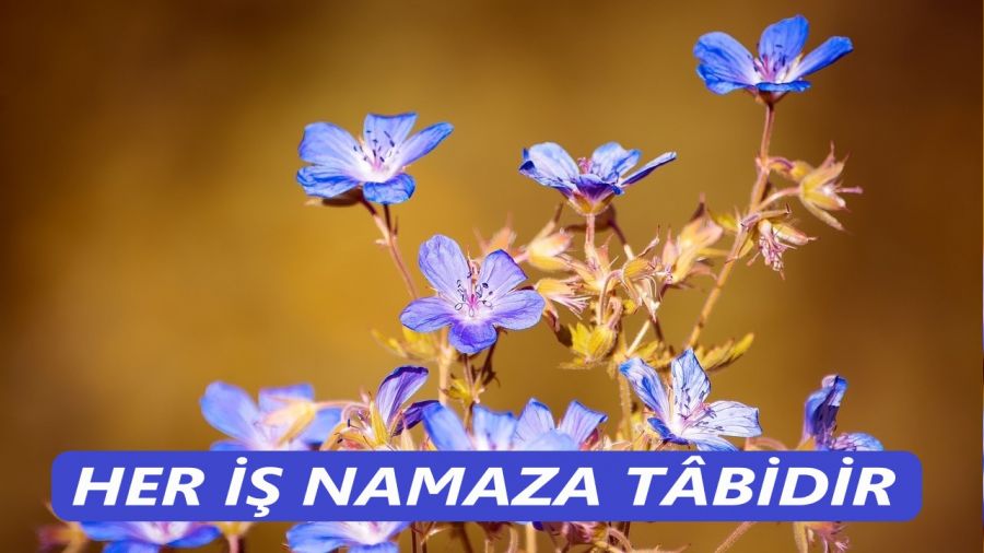 �Her i� namaza t�bidir�