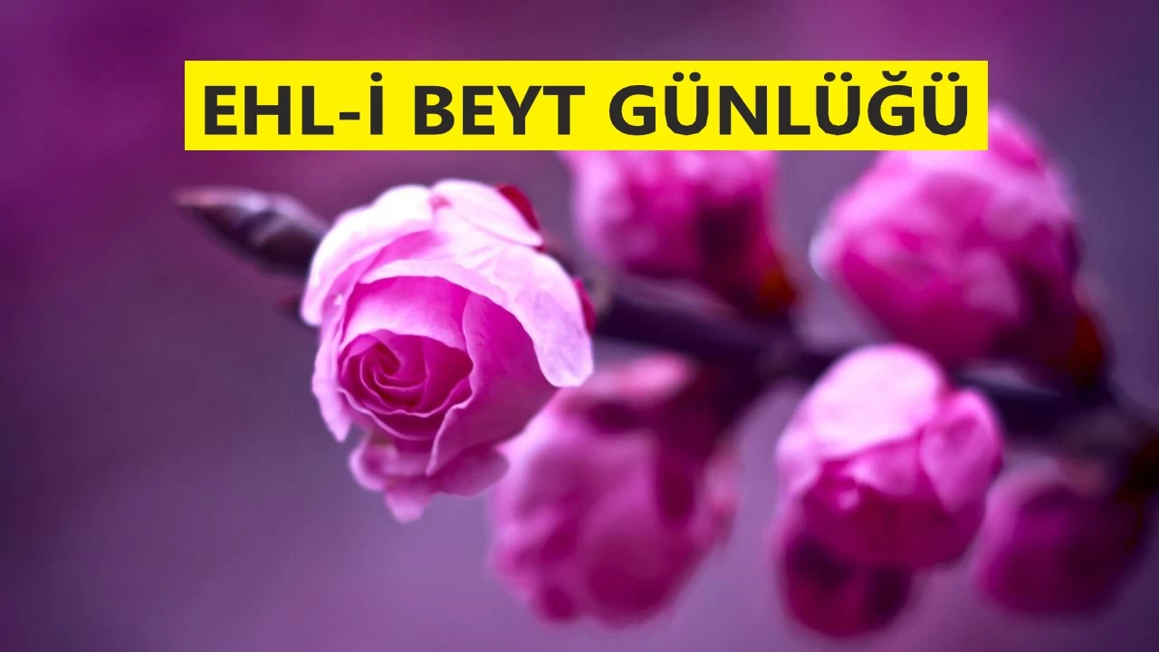 Hccet, mamla gereklemi olur