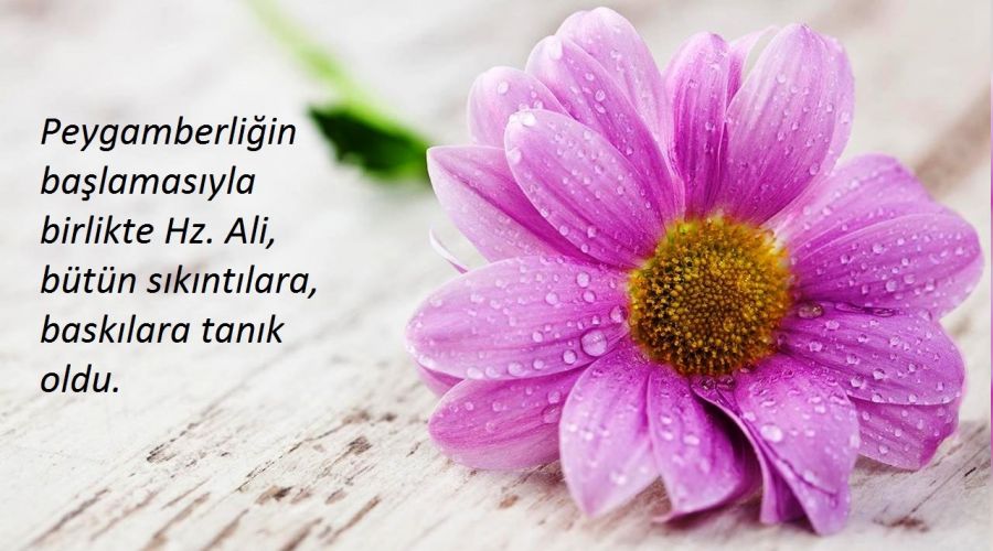 Hz. Ali bütün sıkıntılara, baskılara tanık oldu