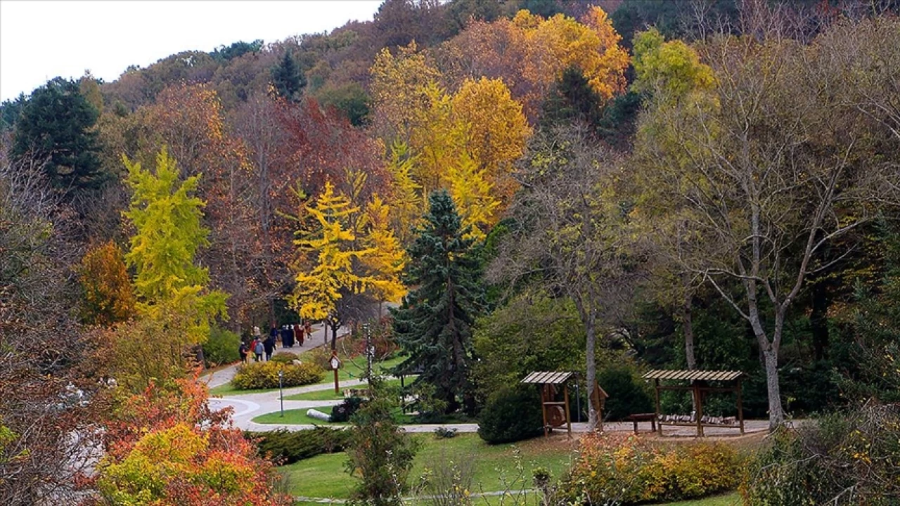 �BB'den al�nan Belgrad Orman� yok mu edilecek?