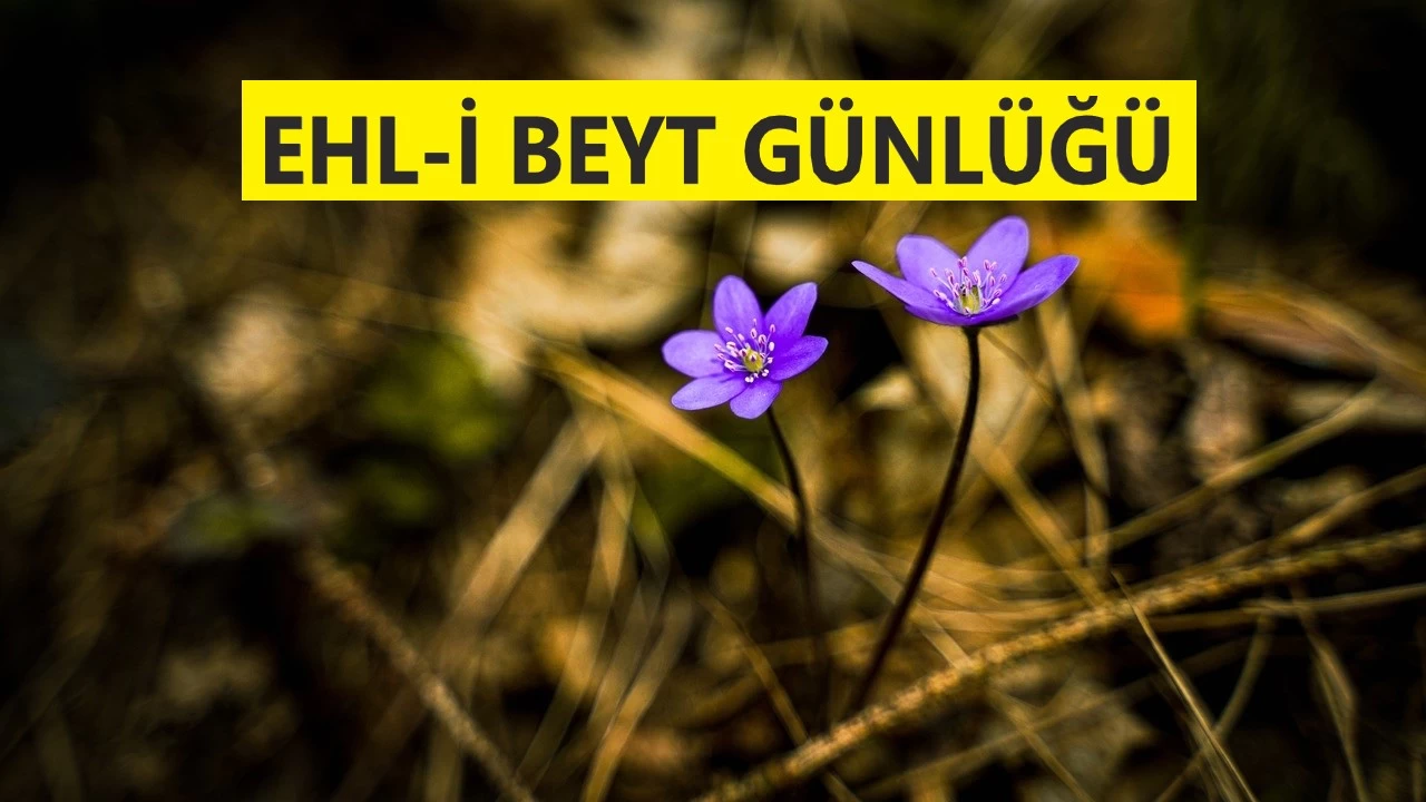 İmam Ali vasilerin sonuncusudur