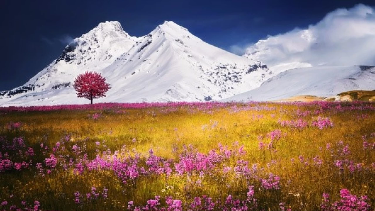 �mam Cevad��n, o�lu Hadi�nin imaml���na dair ifadeleri -2-