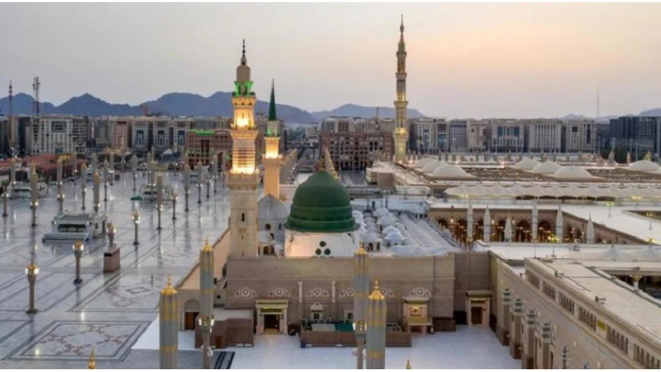 �mam�n vas�flar� nedir?