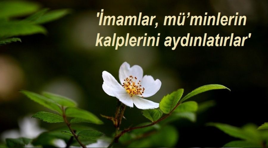 '�mamlar, m��minlerin kalplerini ayd�nlat�rlar'