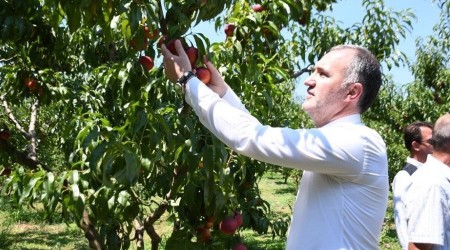 İnegöl tarım modeli Türkiye'ye örnek olacak
