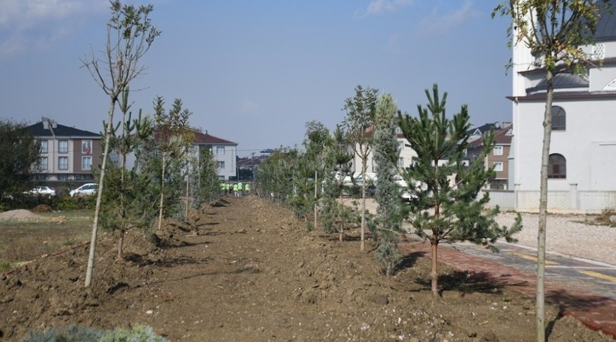 İnegöl'de 52 fidan toprakla buluştu