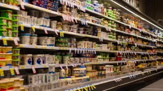 lenmi gdalara dikkat